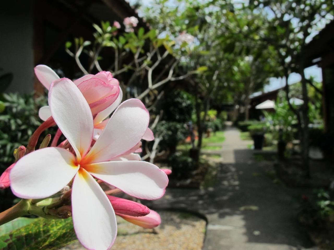 Phuket Siam Villas - Sha Plus Chalong Esterno foto